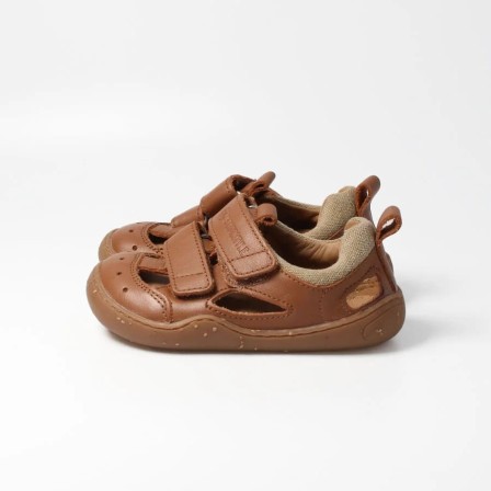 bLIFESTYLE kammmolchSTYLE haselnuss bLIFESTYLE kammmolchSTYLE haselnuss