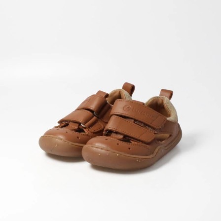 bLIFESTYLE kammmolchSTYLE haselnuss bLIFESTYLE kammmolchSTYLE haselnuss