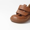 bLIFESTYLE kammmolchSTYLE haselnuss bLIFESTYLE kammmolchSTYLE haselnuss